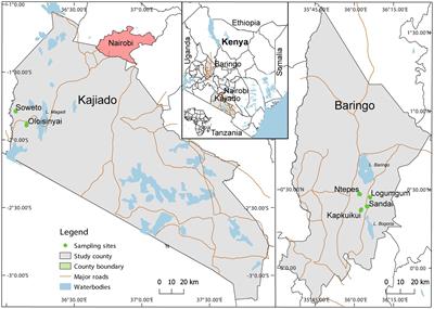 Viral diversity and blood-feeding patterns of Afrotropical Culicoides biting midges (Diptera: Ceratopogonidae)